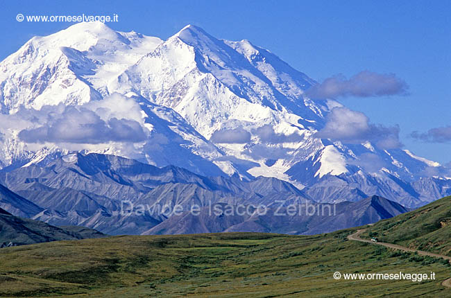 Denali 40-33-07